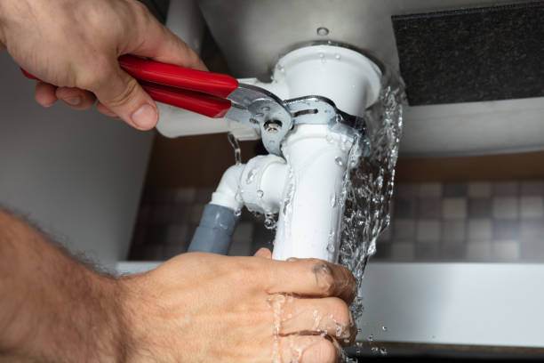 Best Water damage cleanup near me  in Port St Lucie, FL