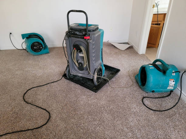 Best 24/7 water damage repair  in Port St Lucie, FL