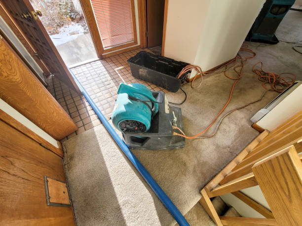 Best 24/7 water damage repair  in Port St Lucie, FL