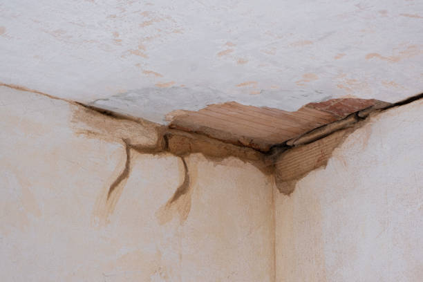  Port St Lucie, FL Water damage restoration Pros