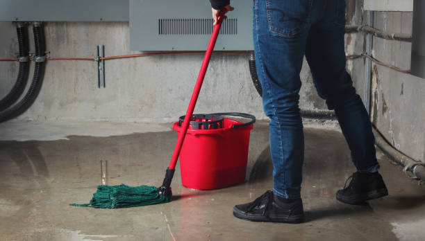 Best Flooded house restoration  in Port St Lucie, FL