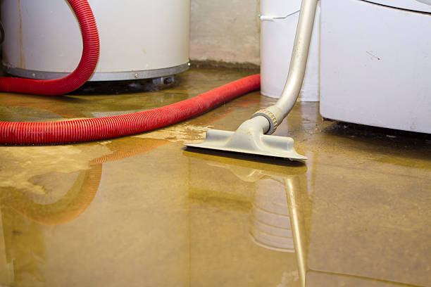 Best Mold removal after water damage  in Port St Lucie, FL