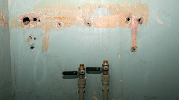 Best Mold removal after water damage  in Port St Lucie, FL
