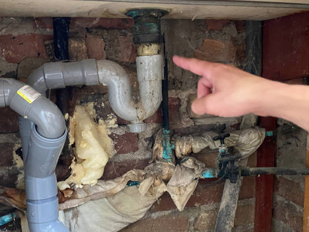 Best Flood damage cleanup  in Port St Lucie, FL