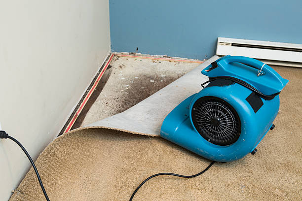 Best Water damage contractors near me  in Port St Lucie, FL